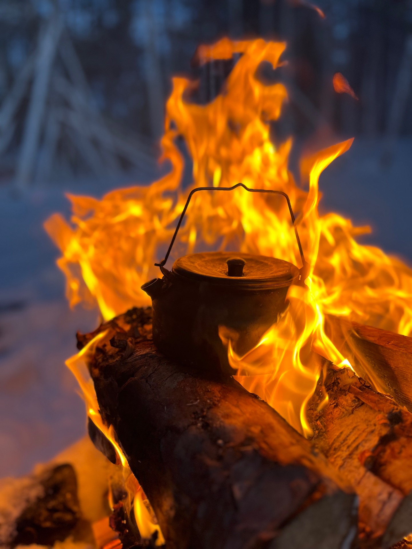 Authentic experiences with a local wilderness expert